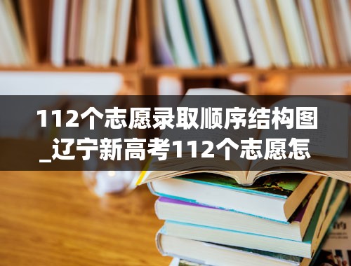 112个志愿录取顺序结构图_辽宁新高考112个志愿怎么填